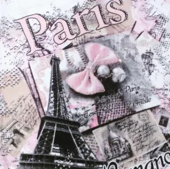 Camiseta blanca París " Moño/Corbatín"