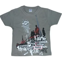 Camiseta Gris París city graph