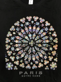 Camiseta París Notre Dame