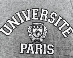 Camiseta universidad de París gris