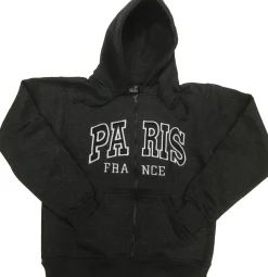 Sudadera París Francia bordado gris chiné